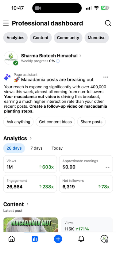 Professional dashboard highlighting the Macadamia post and non-follower reach