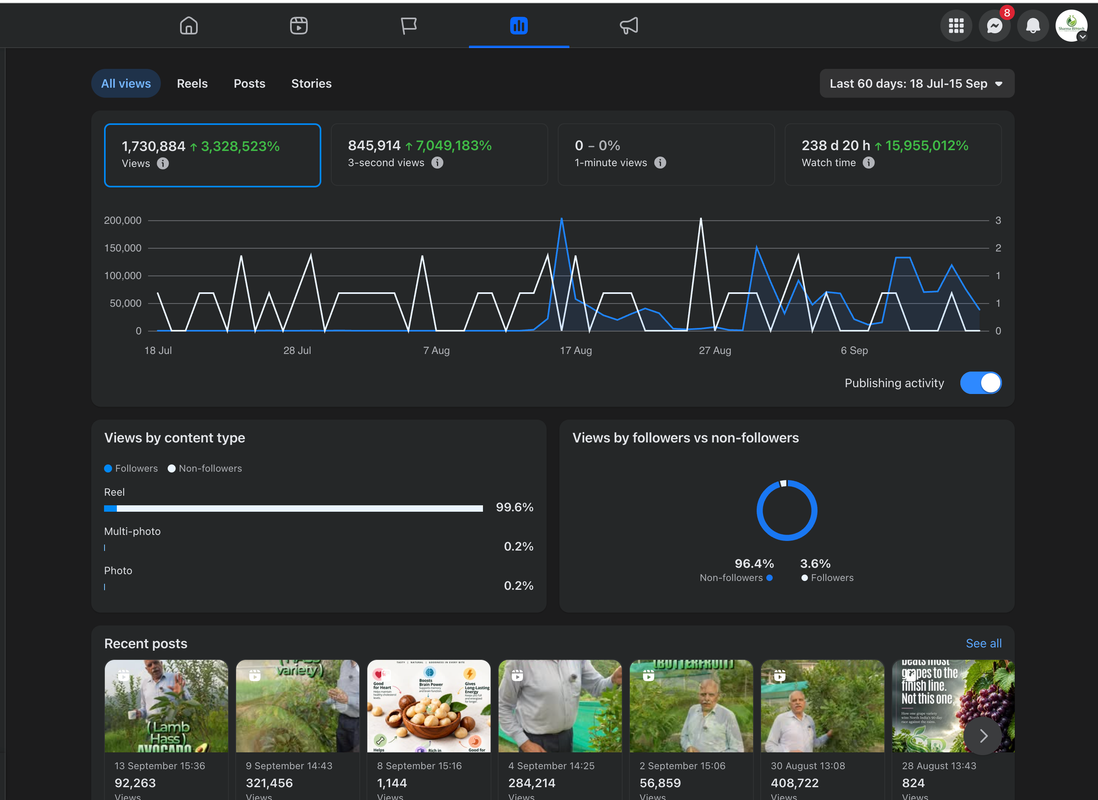 Facebook Insights screenshot showing 1,730,884 views over 60 days