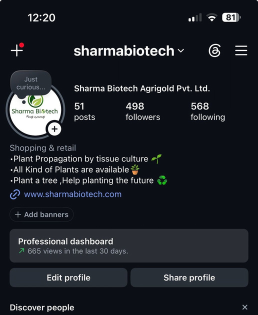 Instagram profile at the start, showing 498 followers and 51 posts